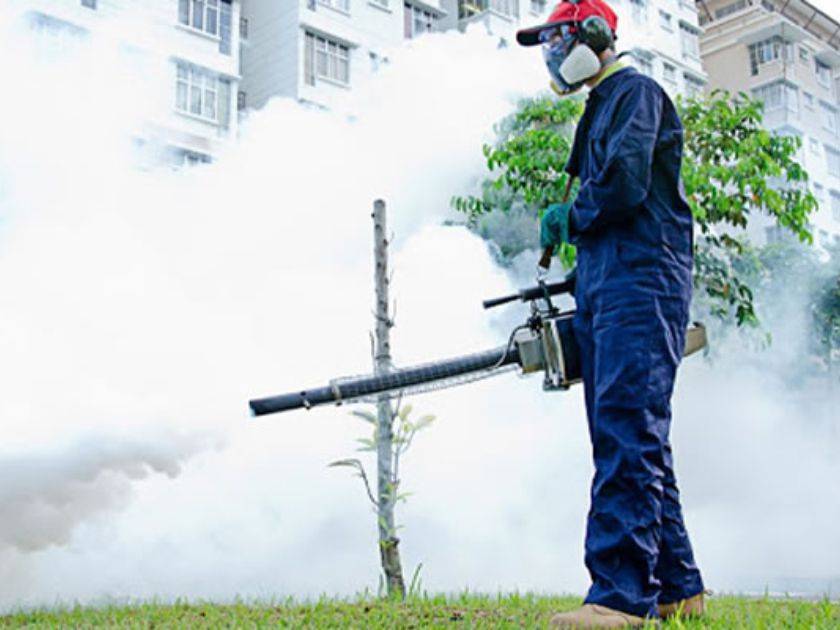 fumigation and pest control